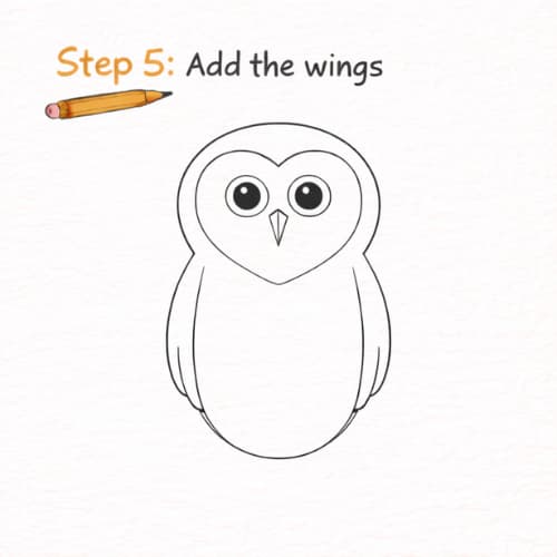 Owl sketch step 5 showing how to add wings to a simple barn owl drawing