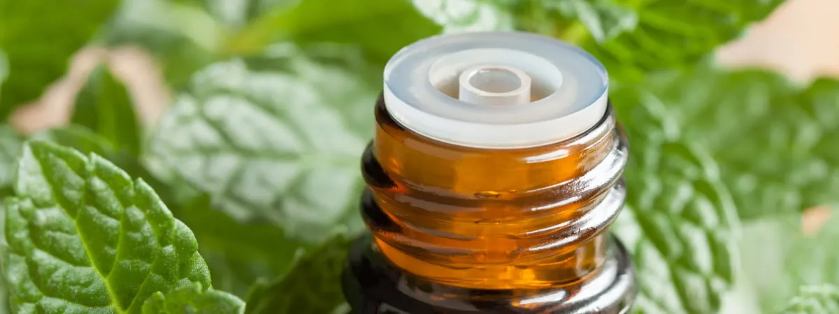 Peppermint oil used as a natural mouse deterrent