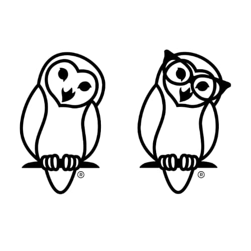 Simple owl sketch outlines showing two variations including one with glasses