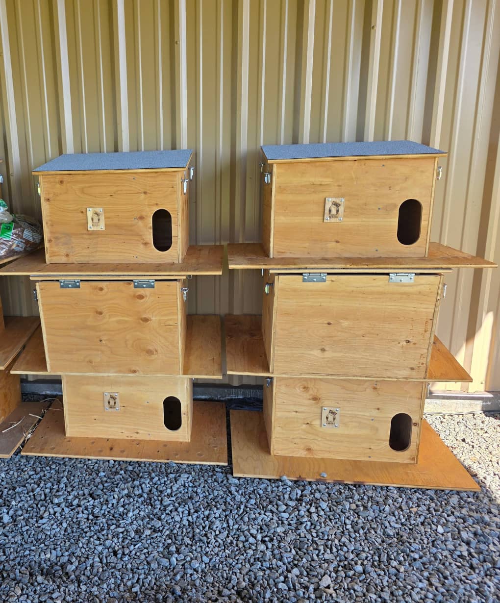 Multiple Ramona Barn Owls owl boxes for sale.
