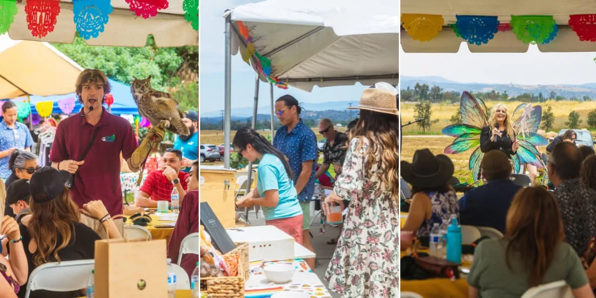 Ramona Fiesta party with raffle, Stacey speaking, and a man holding an owl near the barn owl box prize