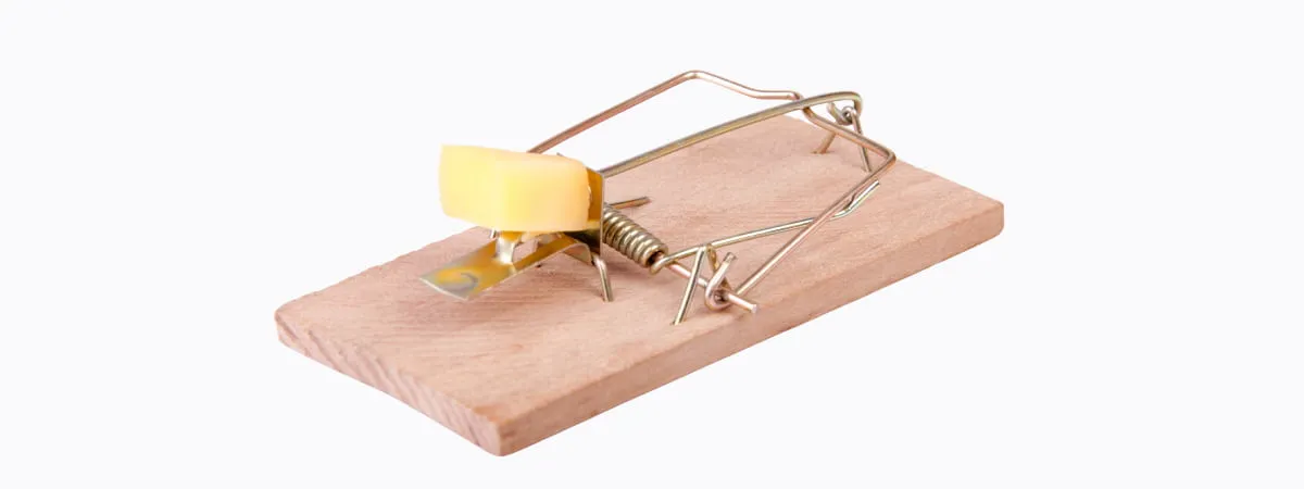 Humane snap trap used for quick mouse control